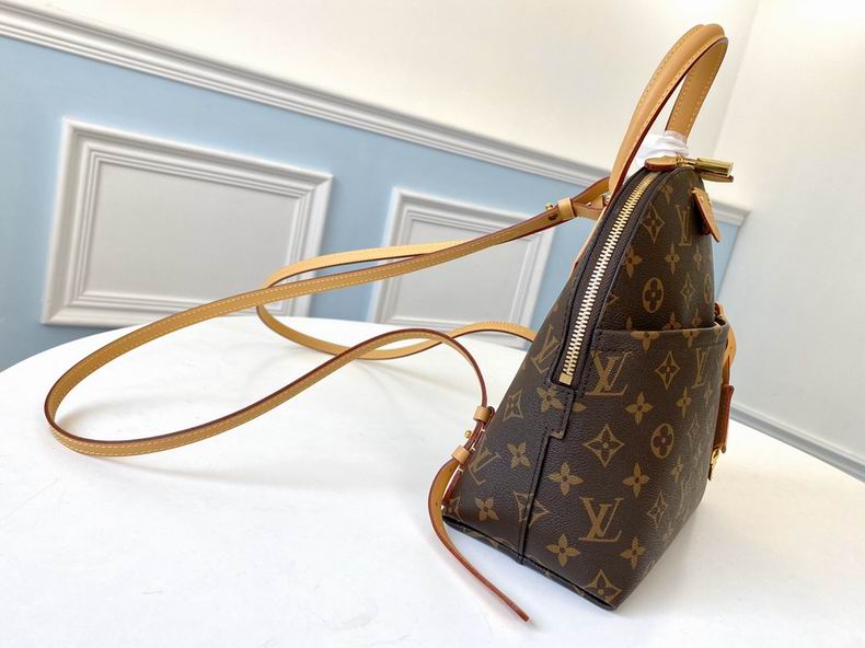 LV Bag